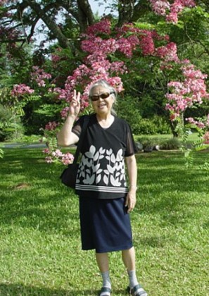 赖尔聪教授简介