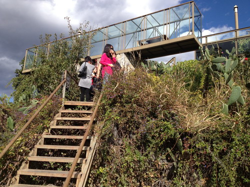 2010级城市规划专业大理、巍山、丽江教学实习