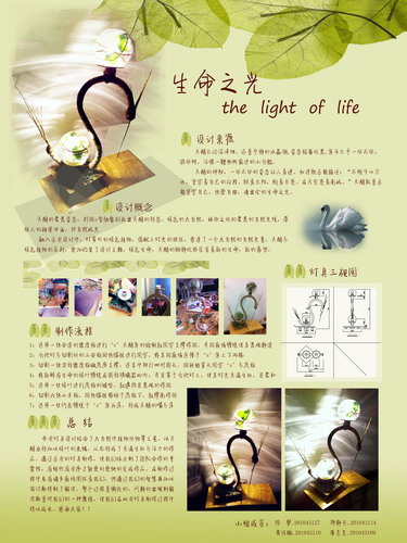 照明设计作品展示2-10环艺灯具设计（12-13学年下）