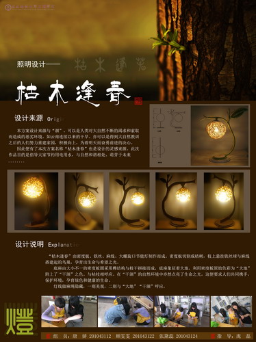 照明设计作品展示2-10环艺灯具设计（12-13学年下）