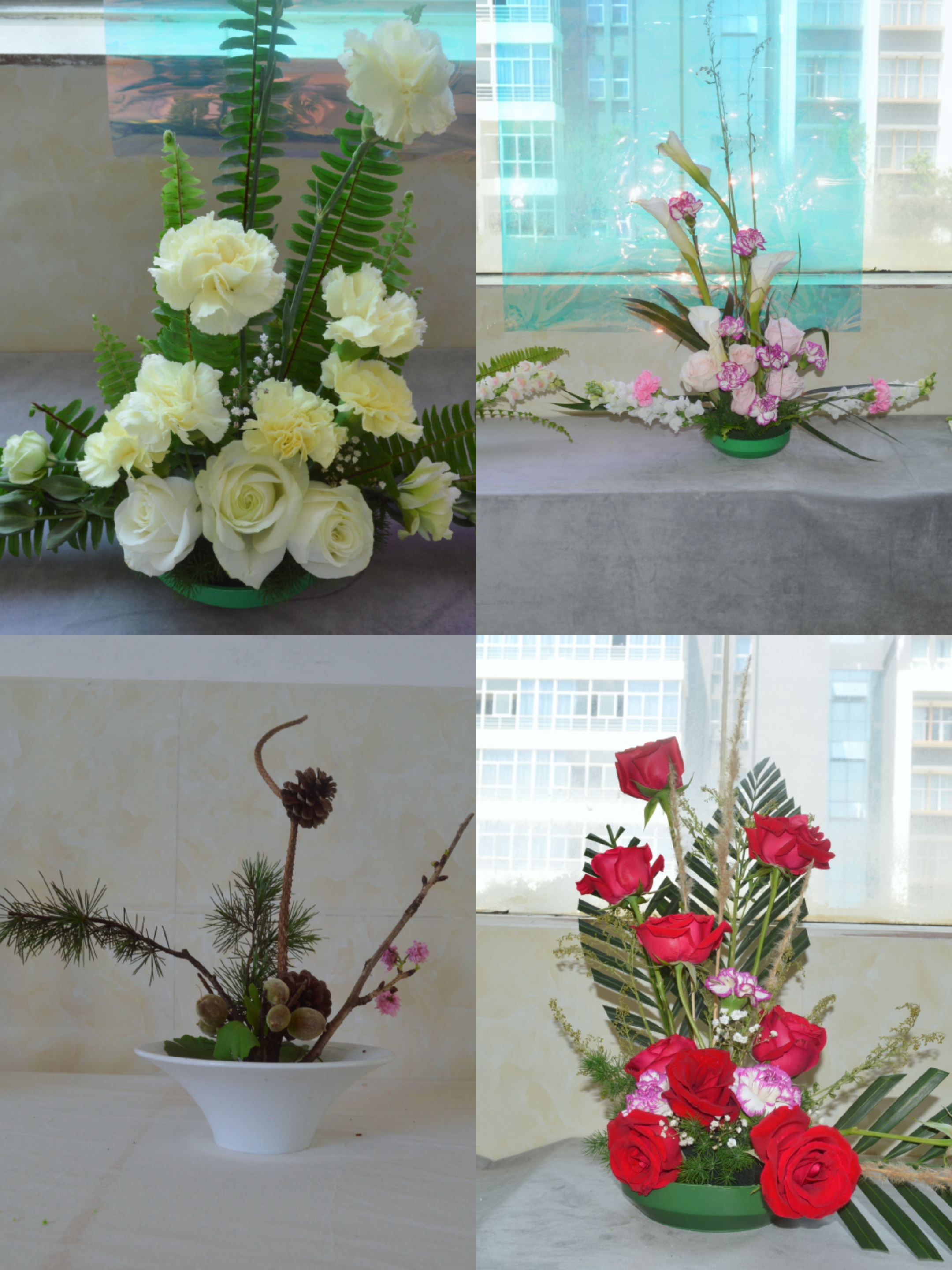 【城院•党委】城院花展