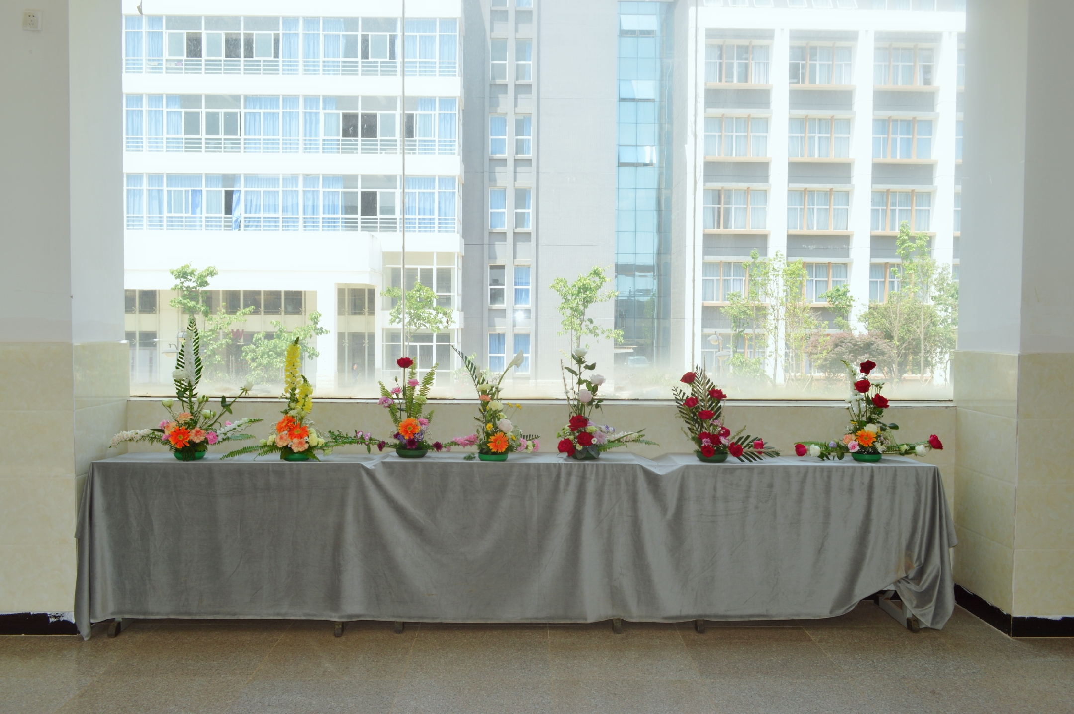 【城院•党委】城院花展