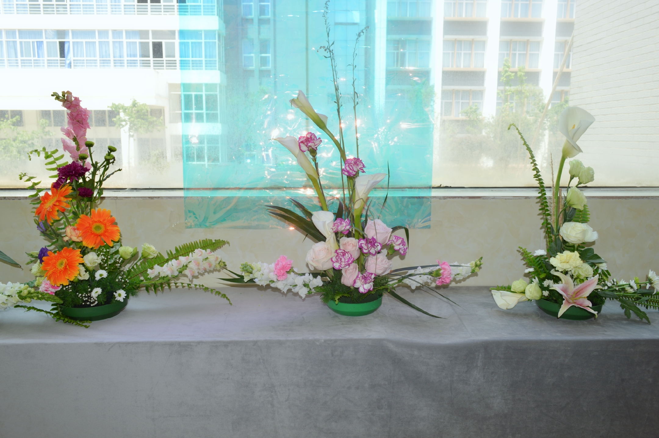 【城院•党委】城院花展