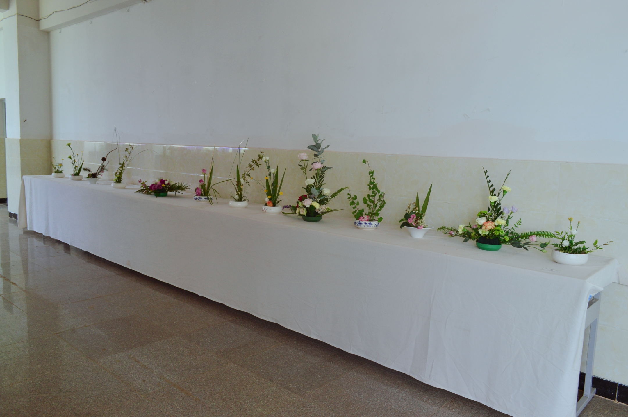 【城院•党委】城院花展