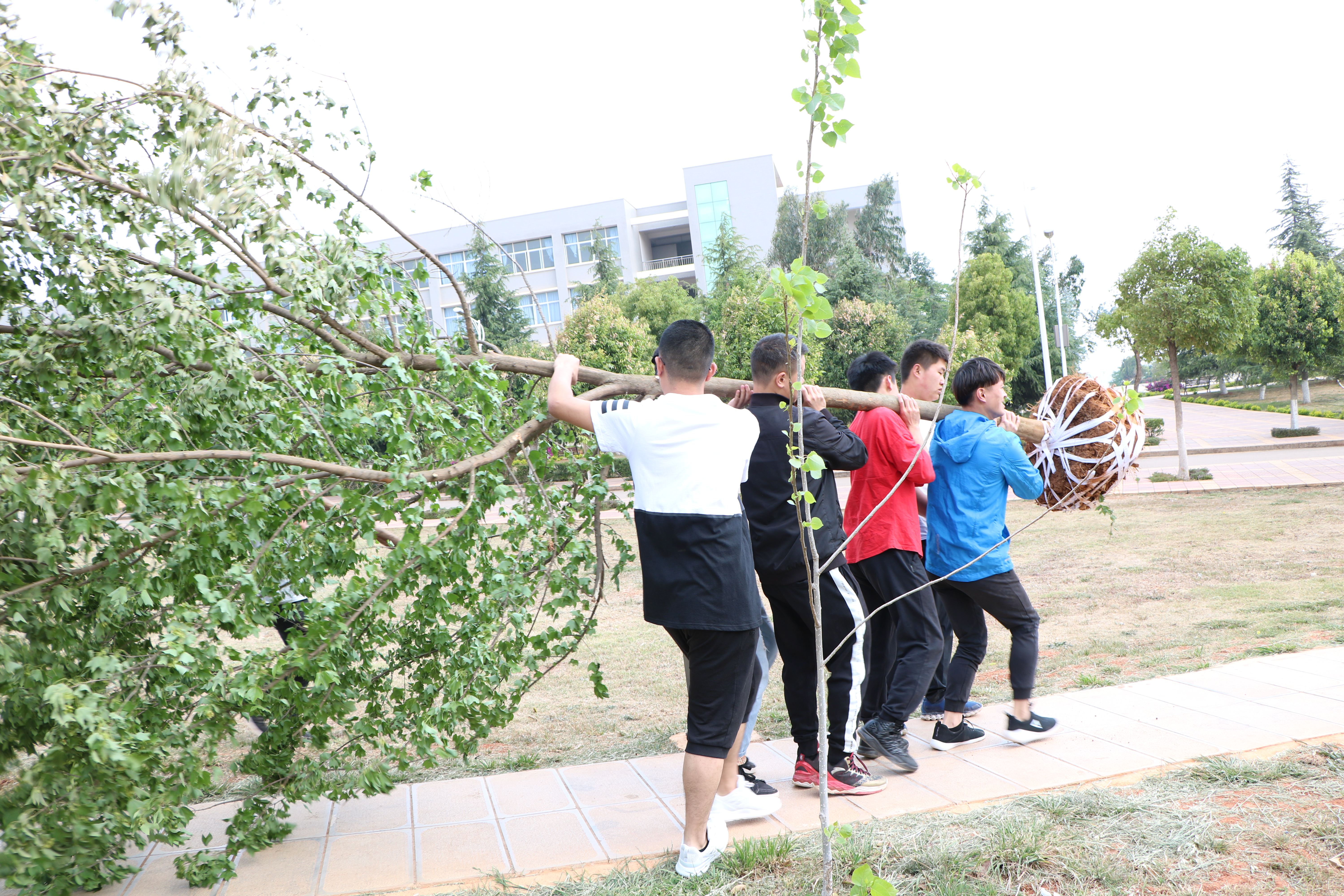 五一 • 跟着17土木B班劳动起来