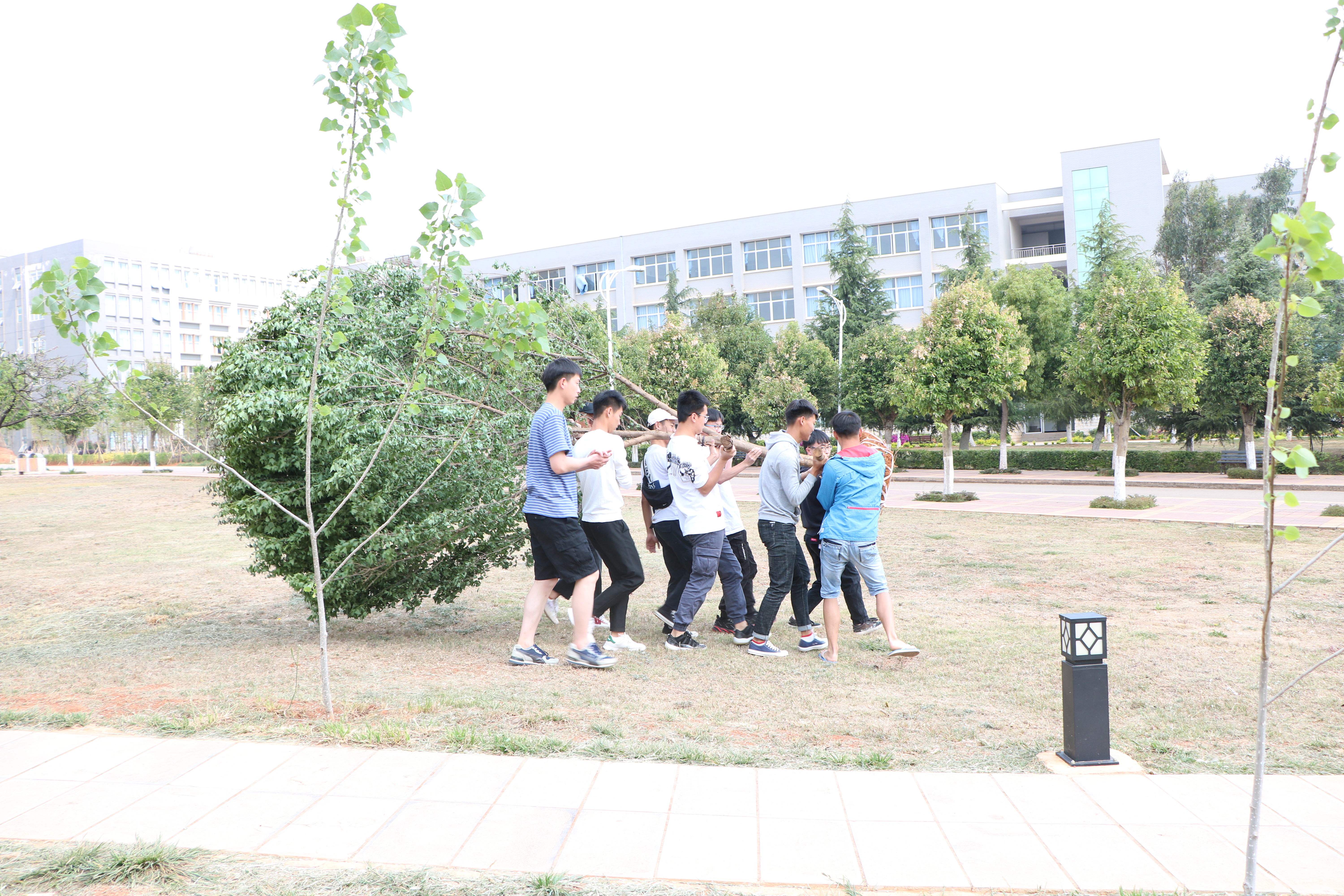 五一 • 跟着17土木B班劳动起来