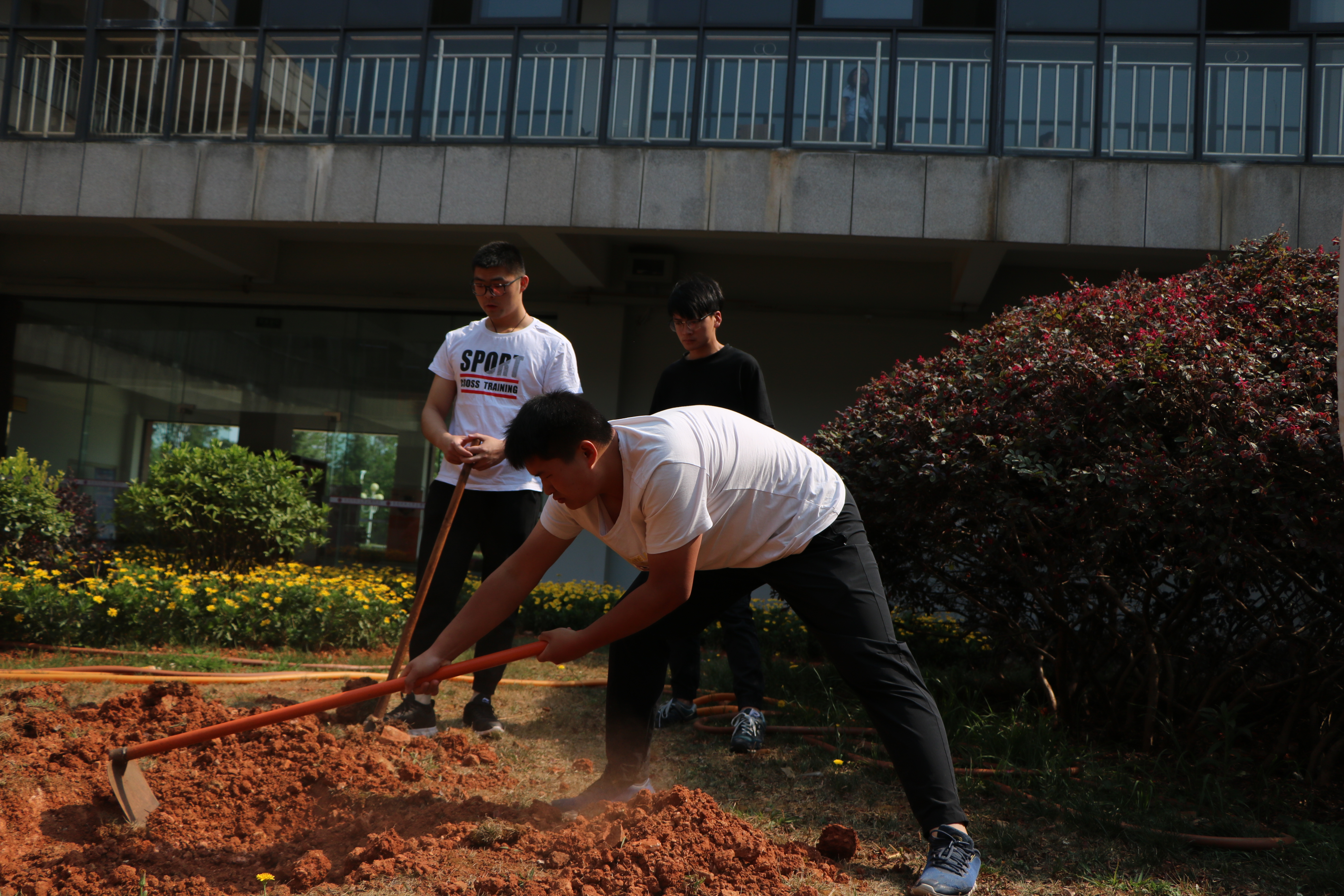 五一 • 跟着17土木B班劳动起来