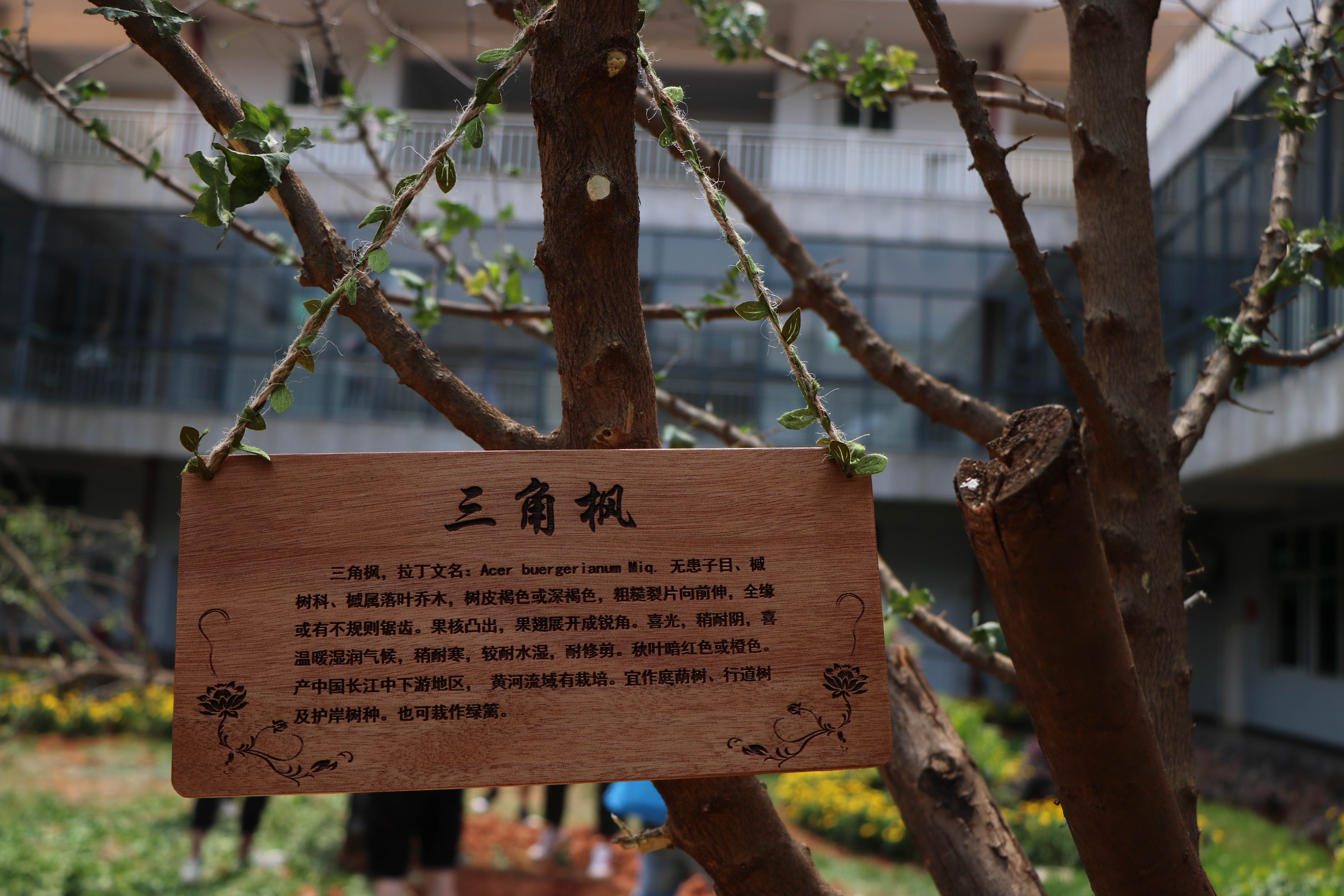 五一 • 跟着17土木B班劳动起来