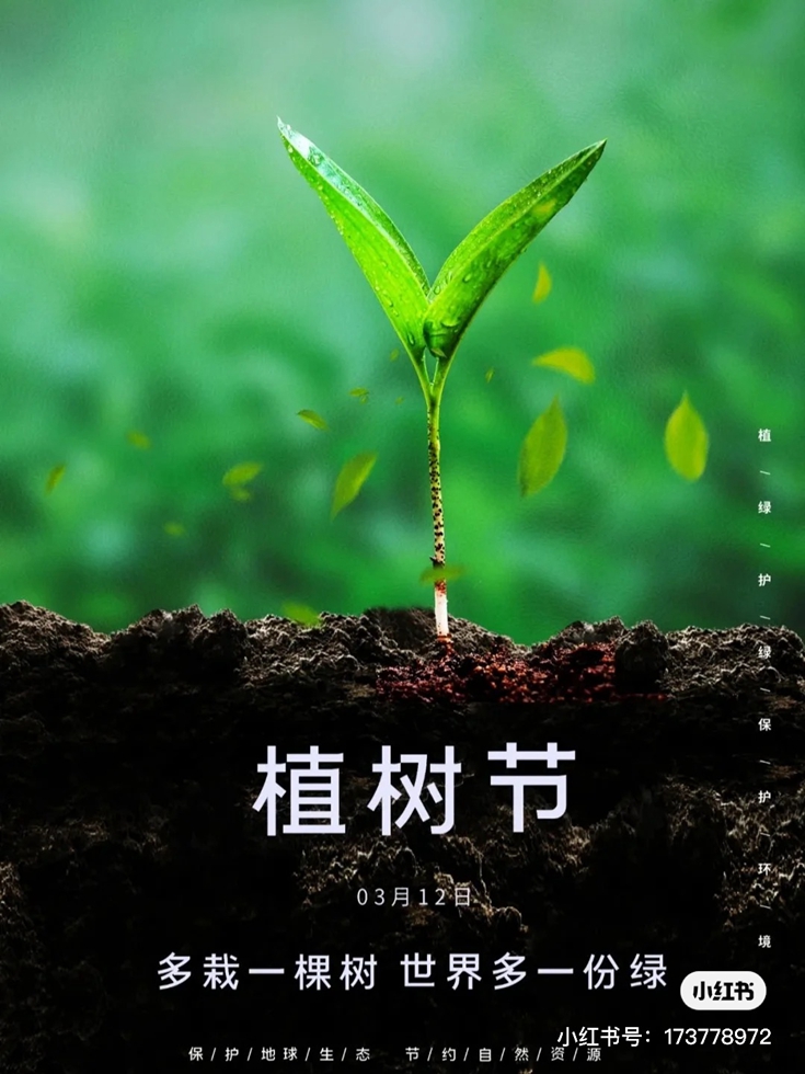 多栽一棵树,世界多一分绿 多栽一棵树,世界多一分绿