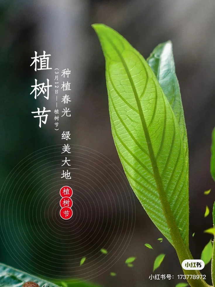 多栽一棵树,世界多一分绿 多栽一棵树,世界多一分绿