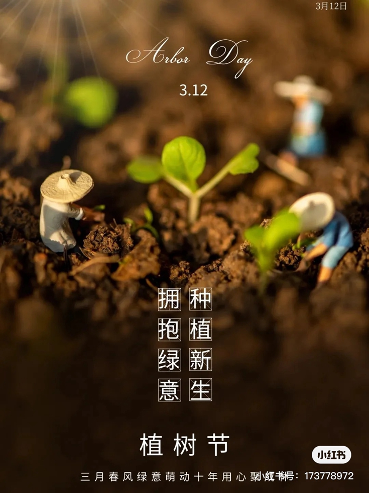 多栽一棵树,世界多一分绿 多栽一棵树,世界多一分绿