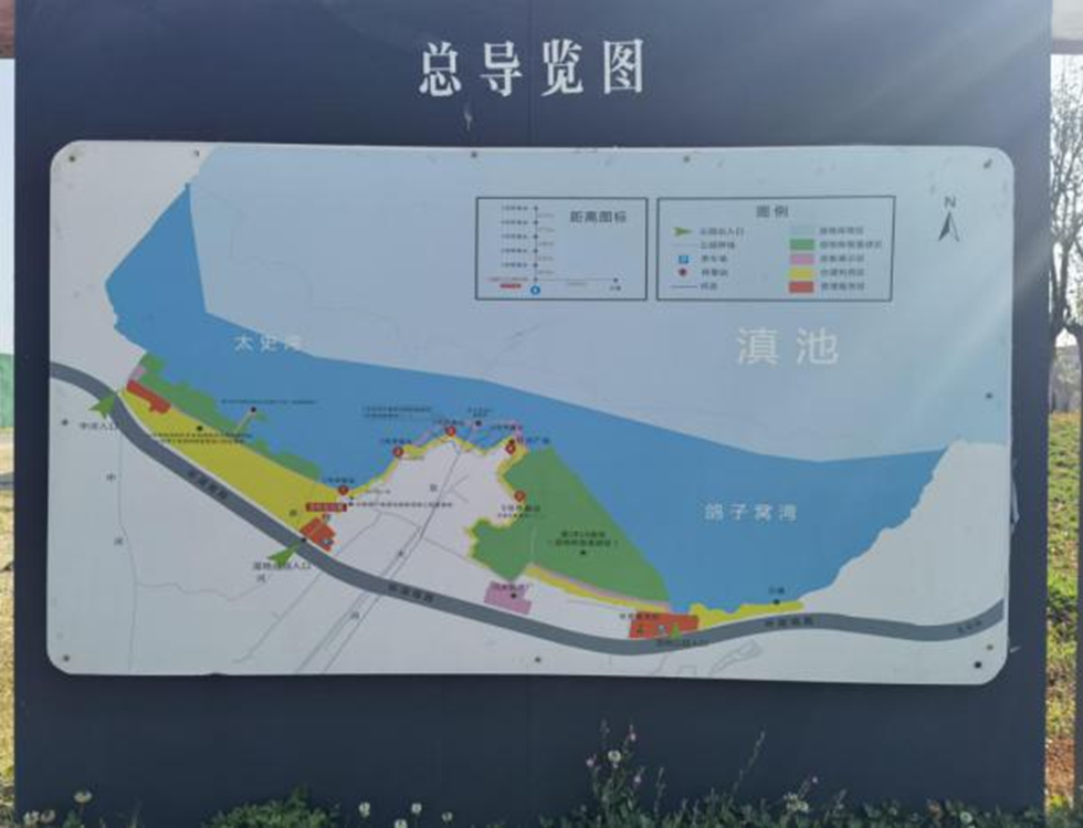  城院风采——南滇池国家湿地公园调研