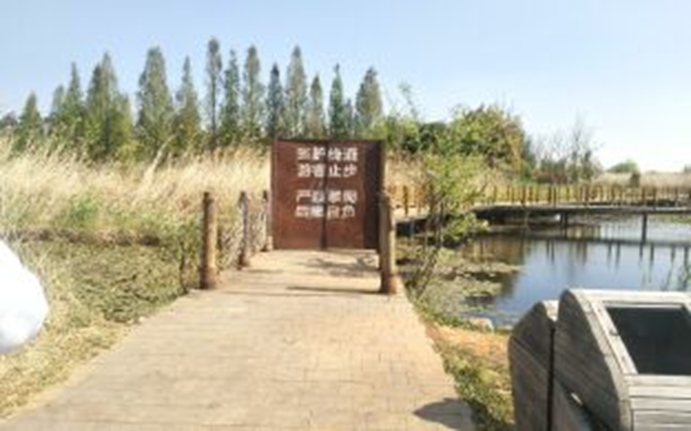  城院风采——南滇池国家湿地公园调研