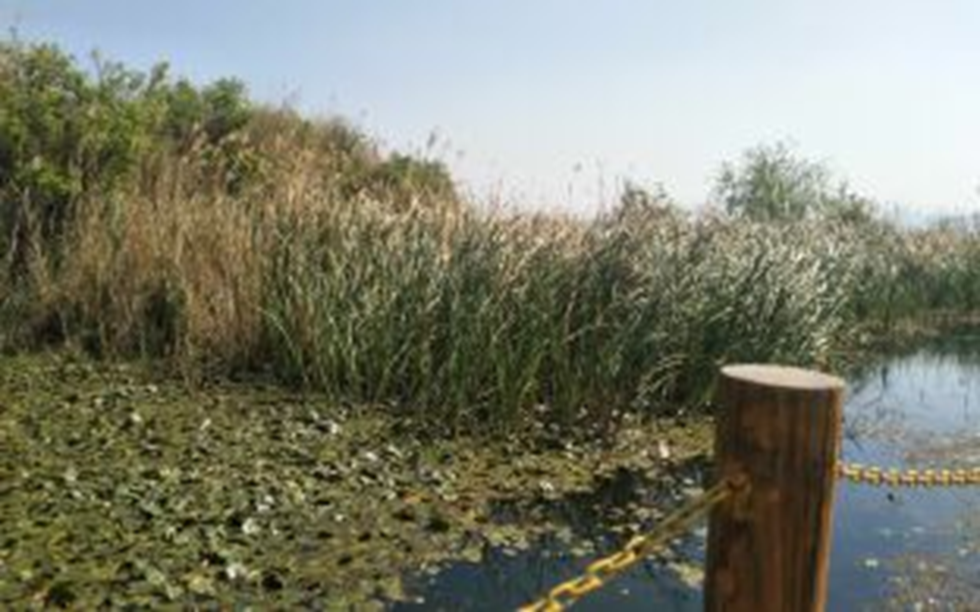  城院风采——南滇池国家湿地公园调研