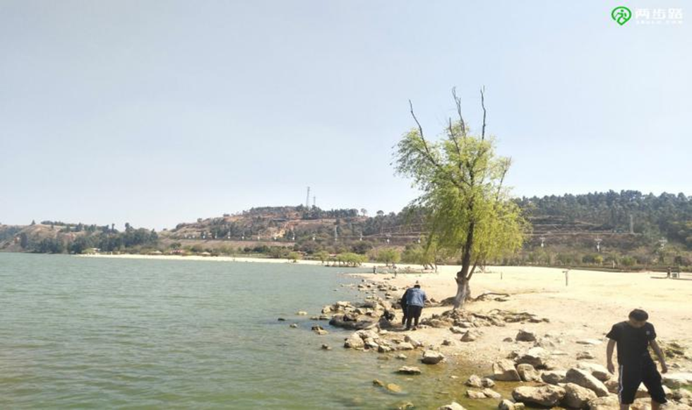  城院风采——南滇池国家湿地公园调研