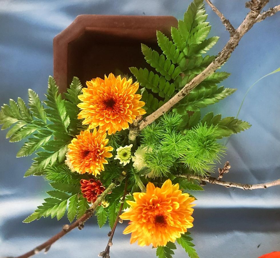 浪漫不死 花艺仙境 ------18园艺 花艺展 浪漫不死 花艺仙境 ------18园艺 花艺展