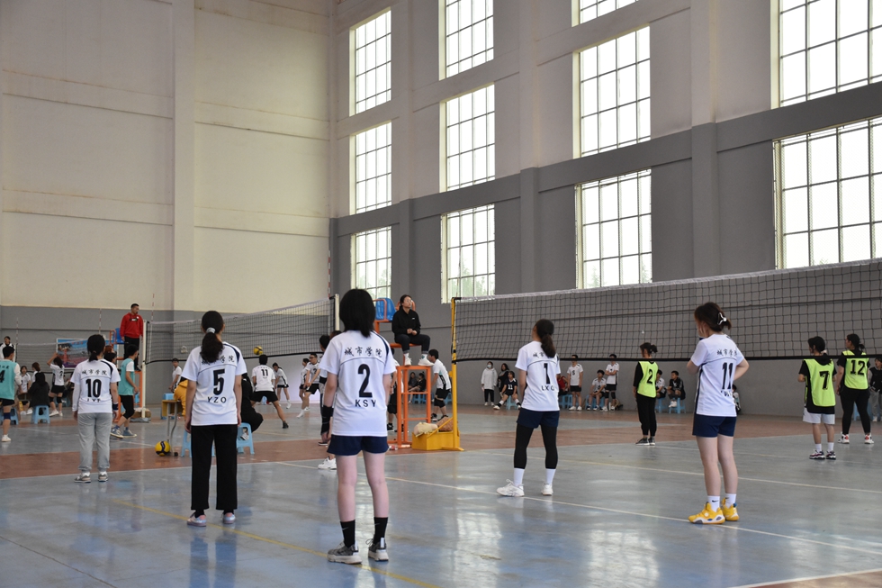 与球共舞，享受精彩