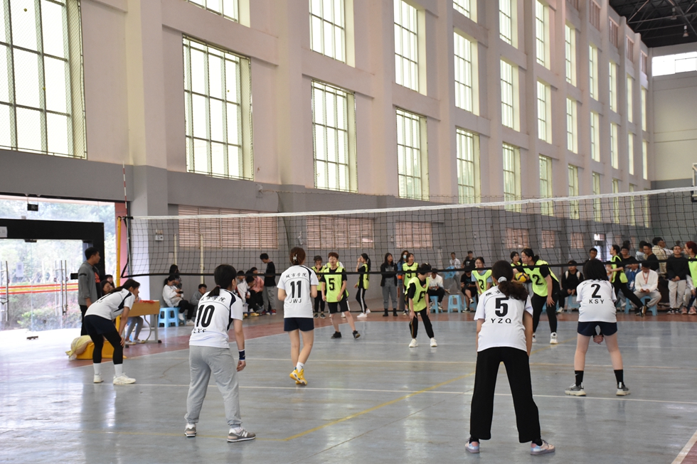 与球共舞，享受精彩