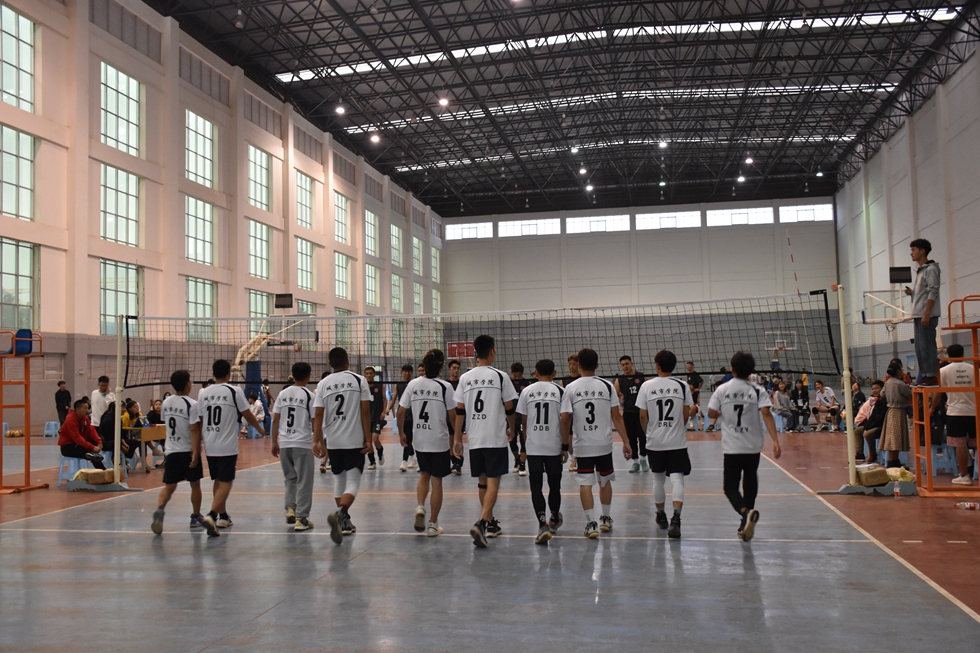 与球共舞，享受精彩