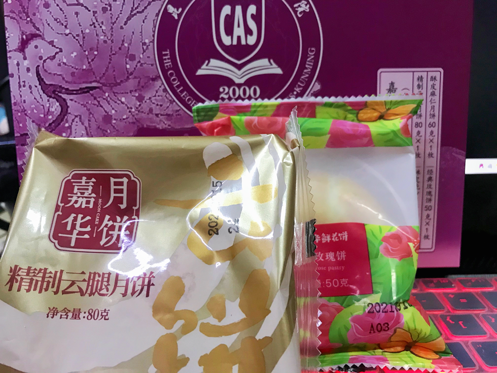 月光旖旎照佳人，星辰共赏度中秋