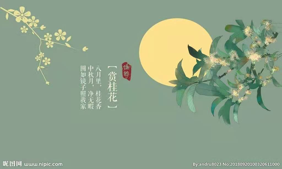 月光旖旎照佳人，星辰共赏度中秋