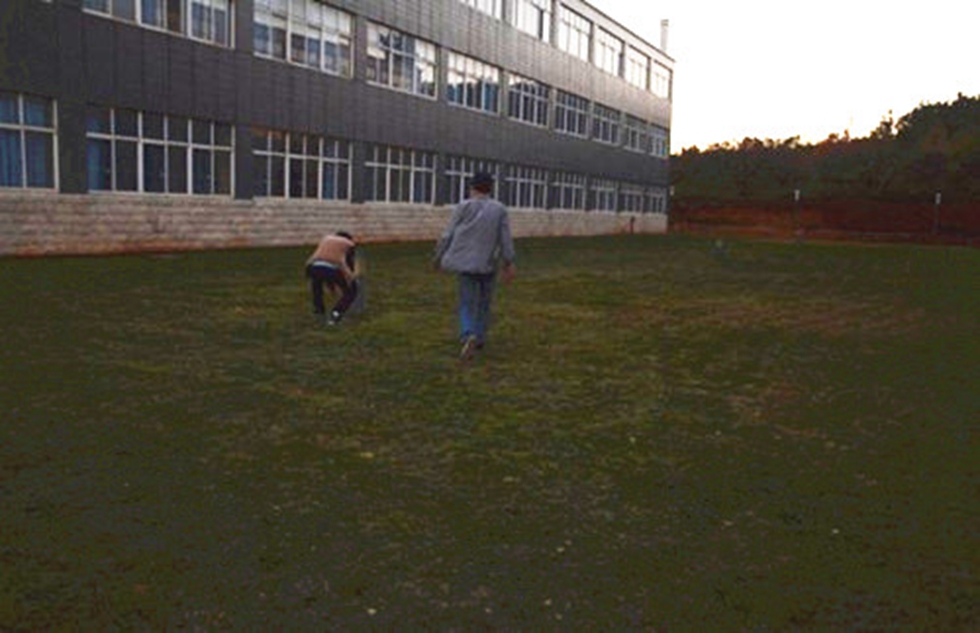 城市学院党总支党员义务劳动 活动总结