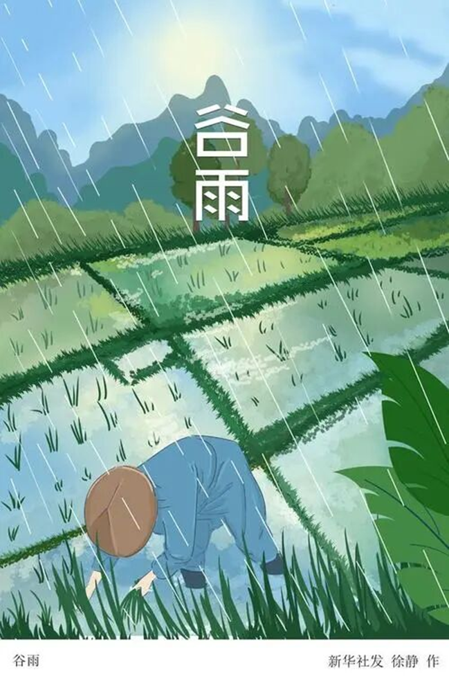 雨生百谷，万物逢时