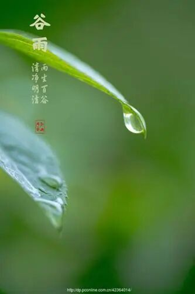 雨生百谷，万物逢时