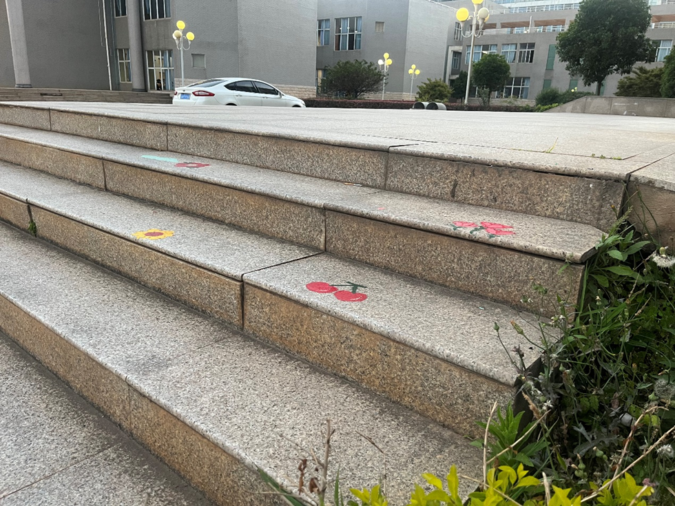 给平淡的生活添些趣味