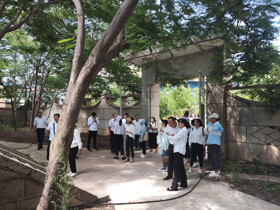 扬帆计划＋返家乡实践故事