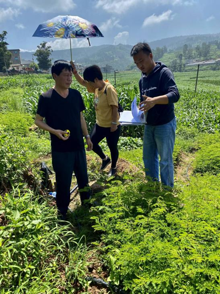 【优秀毕业生】2018级毕业生“三支一扶”基石筑，飞扬青春先锋赴