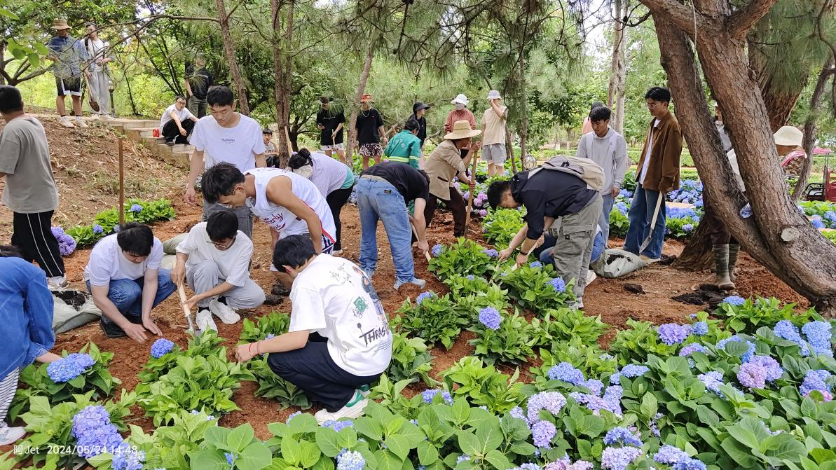 城市学院劳动教育月之校园换装行动