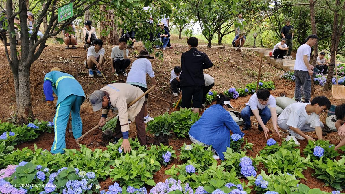 城市学院劳动教育月之校园换装行动