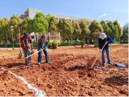 汗水浇灌劳动之花 实践筑牢育人根基 ——智慧城市学院劳动实践园圆满建成