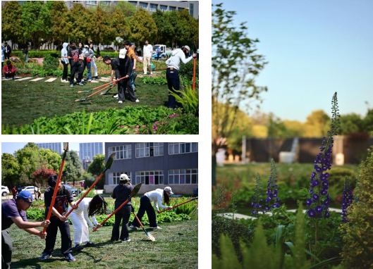 汗水浇灌劳动之花 实践筑牢育人根基 ——智慧城市学院劳动实践园圆满建成